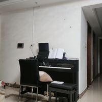 电钢琴推荐 篇零：2026年电钢琴选购指南：十款高性价比型号推荐，新手避坑必看！