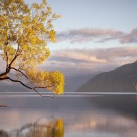 2026年家用小户型马桶品牌实测：智能马桶哪家好？应该怎么选？