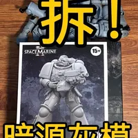JOYTOY 暗源 战锤 星际战士仲裁者 灰模装备库特别版 怎么拆？#模型手办 #战锤40k