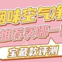 除烟味空气净化器推荐买哪一款？宝藏款除烟味空气净化器评测