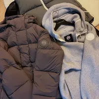 “大鹅+Lulu”真香还是智商税？三重条件满足才值得入手