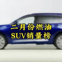 二月份SUV销量榜 #SUV #汽车销量排行