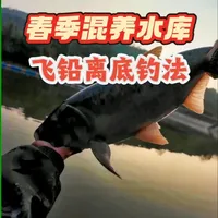 春季混养如何钓？这个钓法会有惊喜#钓鱼人春季作钓计划 #钓鱼 #钓鱼人就是这么疯狂 #创威非凡大师二代全能鱼竿