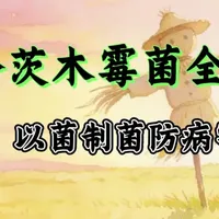 哈茨木霉菌到底有什么作用，一个视频讲清楚#微生物菌肥 #农业种植 #土传病害防治