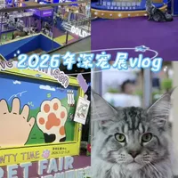 🪄2026年深宠展vlog 🐾#深宠展 #深宠展我来啦 #深宠展攻略 #豆柴小鲜酥  #豆柴