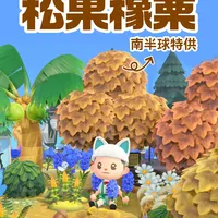 动森🌰2026松果季攻略（南半球特供）