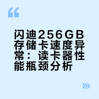 闪迪读卡器+金卡256速度不满170MB/s