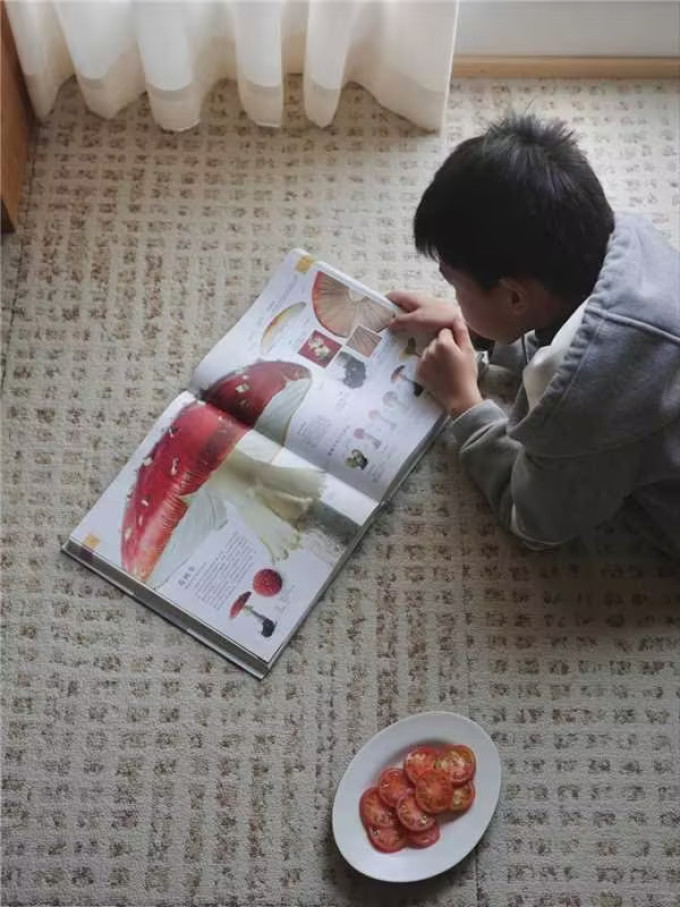 布艺毯类