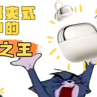 【耳夹式耳机选购指南】百元耳机也内卷，谁才是性价比之王？