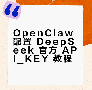 OpenClaw 使用 DeepSeek 官方 API_KEY 配置教程_网络存储_什么值得买