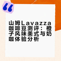 山姆lavazza咖啡豆
