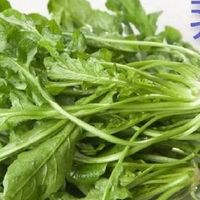 荠菜有哪些品种？吃法有多少种？