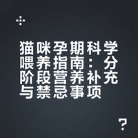 猫咪怀孕别瞎补！这样喂才科学