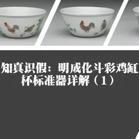 知真识假：明成化斗彩鸡缸杯标准器详解（1） #戴维话收藏 #瓷器 #收藏 #成化斗彩 #好物推荐