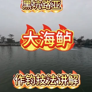 大海鲈 该怎么钓？#路亚新手入门教程 #路亚教学 #黑坑路亚 #海鲈路亚 #钓鱼的乐趣只有钓鱼人懂
