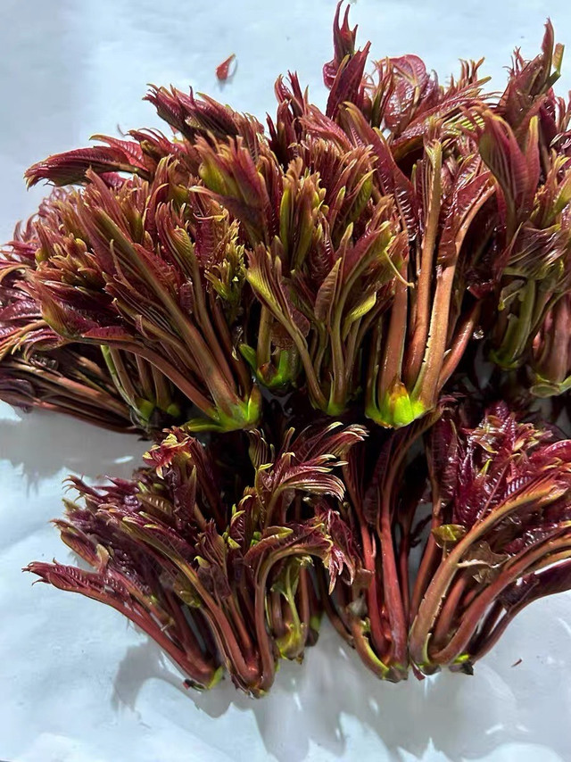 香椿炒鸡蛋：春日清新滋味