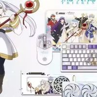 5070Ti 单卡卖9000！微星《葬送的芙莉莲》联名5070Ti OC显卡开售