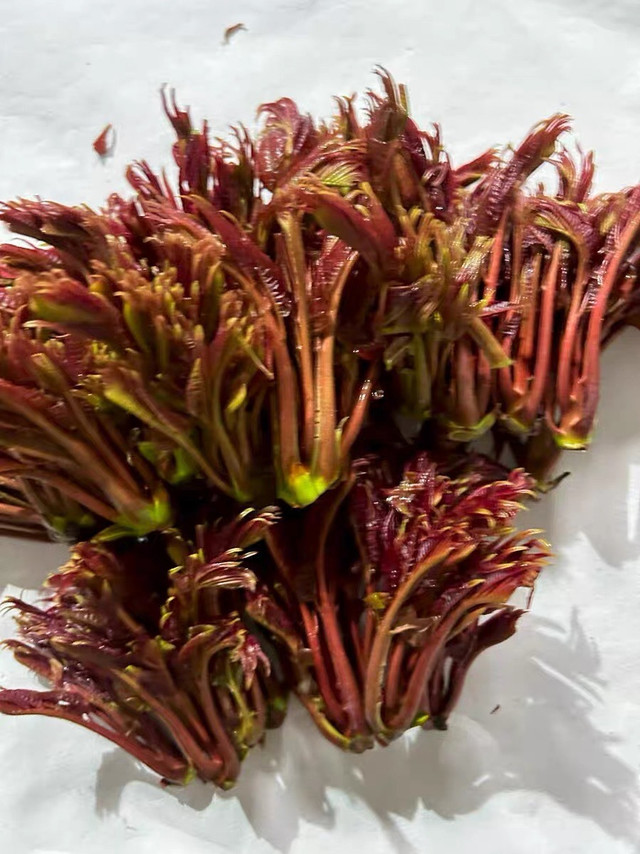 香椿嫩芽与鸡蛋的春日邂逅