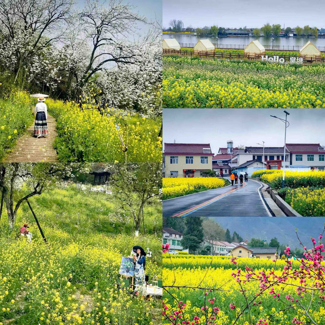 三月别只挤婺源！这俩冷门花海，人少景美还能拍古风大片