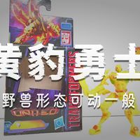 小巧精悍，豹速来袭——孩之宝 传世联合 核心级 黄豹勇士