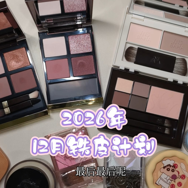 【16】2025年11月铁皮反馈以及12月铁皮计划