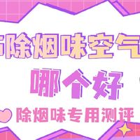 2026除烟味空气净化器哪个好？除烟味专用空气净化器测评