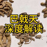 巴戟天 深度解读 教你一些你能用到的知识