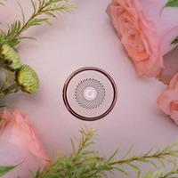 华硕a豆14 Air的AI助手是真有用还是纯噱头？2000+用户观点大碰撞