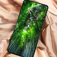 iQOO Neo11影像短板是否拖累性价比？1000+用户观点大PK