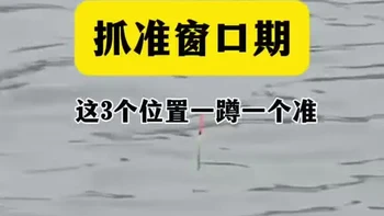 春季钓鱼藏着一套铁律：小水面升温快先出鲫鱼，大水面升温慢后出大鱼；鱼开口顺序是鲫鱼→鲤鱼→草鱼鲢鳙。刚结束冬眠的大鱼食欲旺、体力差，是全年最好钓、最好遛的黄金阶段，只要踩准节气、选对钓位，轻松钓获大物。#春钓鲫鱼 #春季钓鲫鱼 #野钓鲫鱼 #户外野钓鲫鱼 #春季野钓鲫