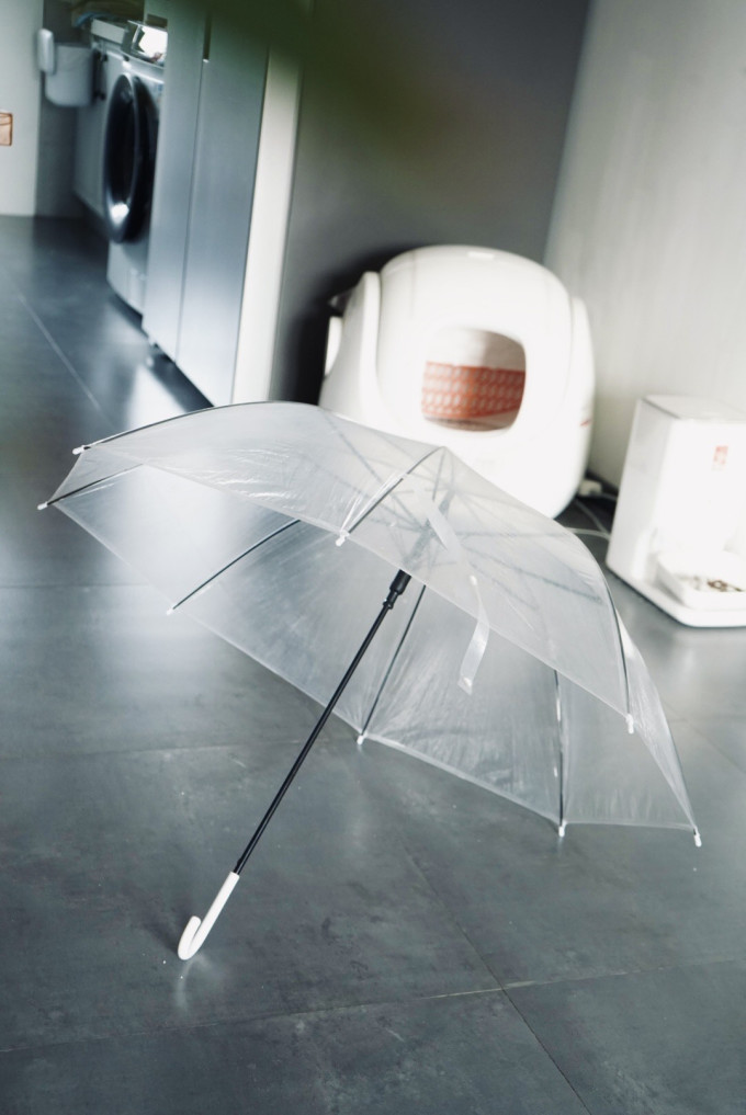雨伞