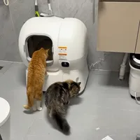 买了#霍曼自动猫砂盆 ，第一件事就是把缝隙贴起来，怕猫贴边尿，漏尿机器给腌入味，适应良好，弄好它俩就进去用了