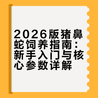 2026猪鼻蛇饲养指南 新手养猪鼻必读