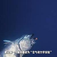五大路亚巨头，凭什么成为钓鱼人心中的顶级信仰？#路亚#钓鱼#科普