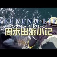 养殖野生蓝鳍金枪鱼揭秘:投入5年,回报28万/条 #蓝鳍金枪鱼 #水产养殖 #高回报 #5年周期 #28万一条 #渔业投资 #野生驯化 #海上牧场 #金枪鱼养殖 #暴利行业 #稀缺资源 #高端水产 #养殖户 #长期投资 #财富密码#人间观察计划