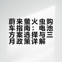 买蔚来萤火虫，到底怎么选？
