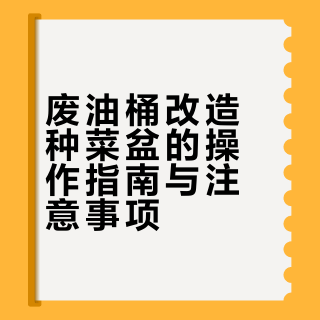 💥 0 元 DIY 花盆大法！