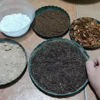 不想买“营养土”的花友看过了，教你配出比买好10倍的营养土