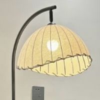 这盏灯，在我的客厅角落私藏了一片暮色。