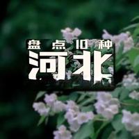 盘点10种河北省最适合养的花#花卉绿植 #养花小知识 #爱生活爱养花 #养花人的乐趣 #种植小技巧