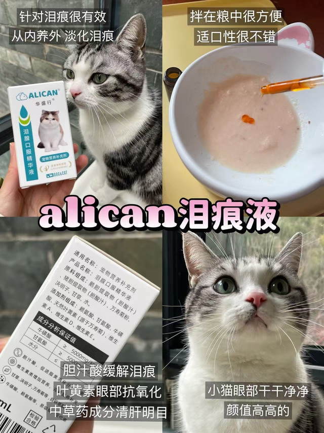 2026宠物泪痕液推荐排行榜！我用这款精华液解决了宠物的顽固泪痕