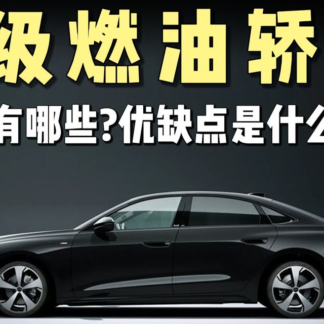 汽车知识：到底有哪些b级燃油轿车，它们各自都有哪些亮点与槽点,价格合不合适？