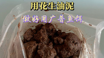 野钓干货之用花生油泥做鱼饵，广谱性强什么鱼都能钓