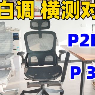 预算500-800元，选黑白调P2 Pro还是P3？看完横测不纠结！