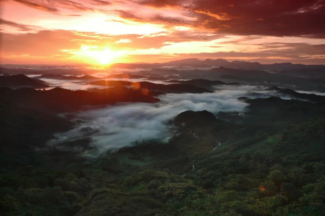 别只知道沿海公路!海南这条雨林秘境才是“森”呼吸自驾的天堂