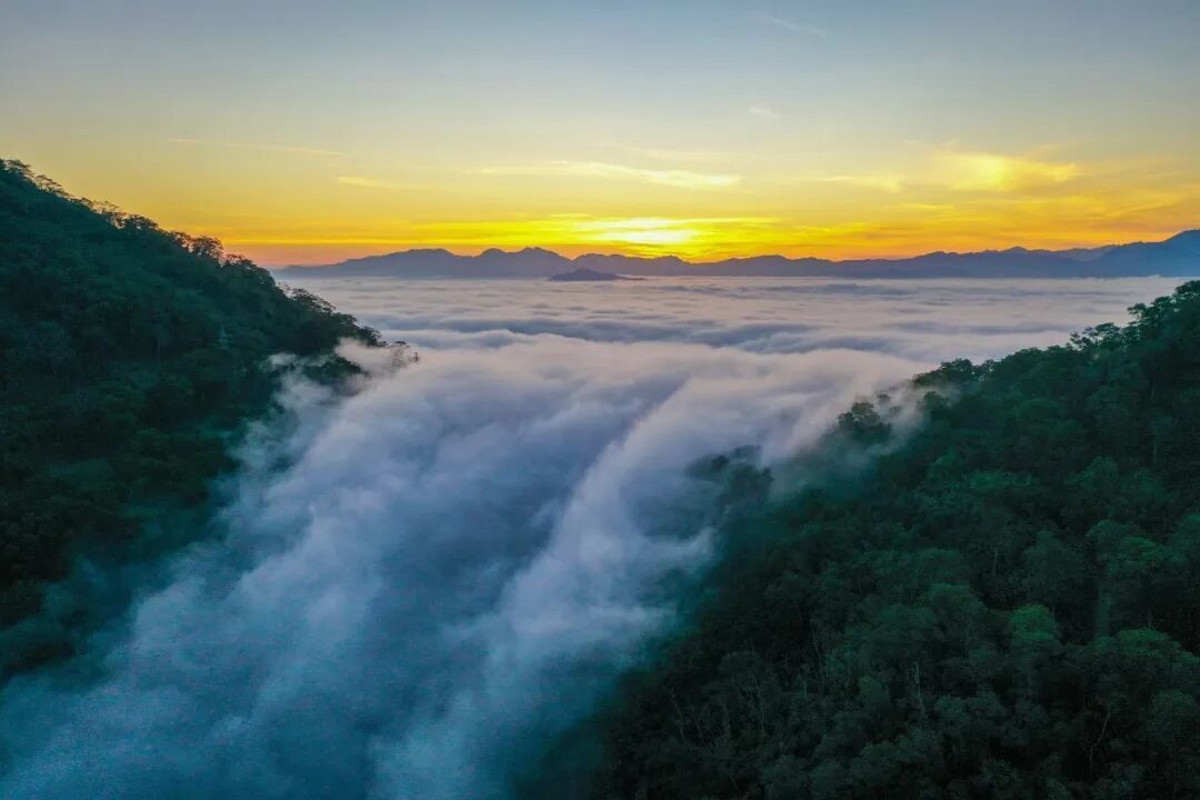 别只知道沿海公路!海南这条雨林秘境才是“森”呼吸自驾的天堂