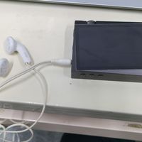 试听一条据说是艾利和的播放器配塞，出乎意料的还可以