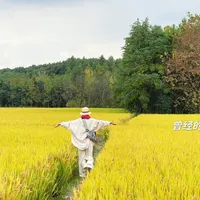 全球电动车大战烽烟再起，欧洲要赶上来了？