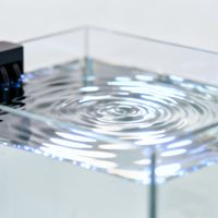 小米鱼缸二代能造景，但必须改：三件事不做，爆藻翻车跑不了