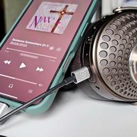 你花30块开的“无损”会员，可能连CD音质都没到